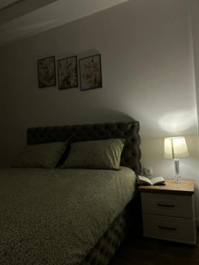 Serenity Apartment